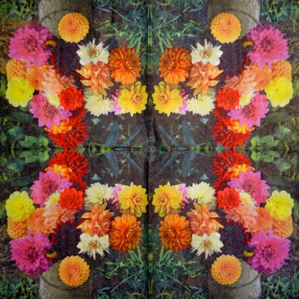 325 Roses - 3-ply - AVEC